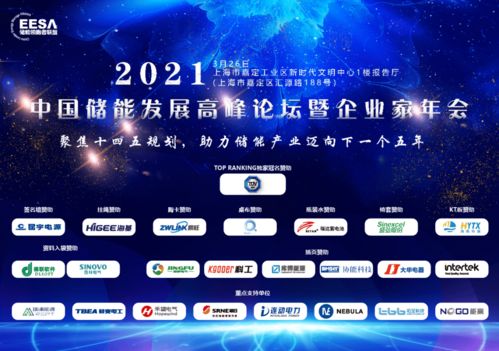 煙臺開發(fā)區(qū)德聯(lián)軟件重點(diǎn)支持2021中國儲能發(fā)展高峰論壇暨企業(yè)家年會