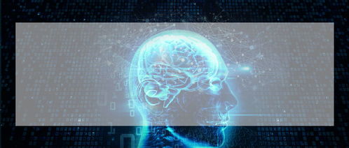 煙臺(tái)軟件開發(fā)培訓(xùn) 開啟數(shù)字化職業(yè)之路